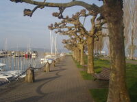 Promenade am Hafen
